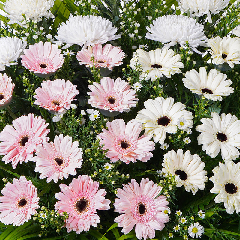 flowers_stand Blessed Soul Condolence / Funeral Flowers