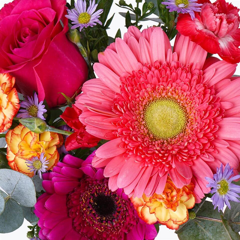 Customizer Blooming Memories