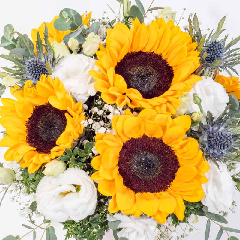 flowers_box_vbox Cali Dreamin'