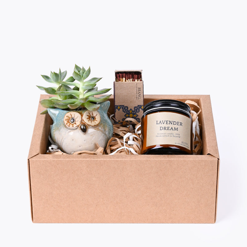 plants_potted Cozy Nook Gift box