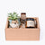 plants_potted Cozy Nook Gift box