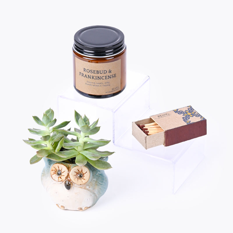 plants_potted Cozy Nook Gift box