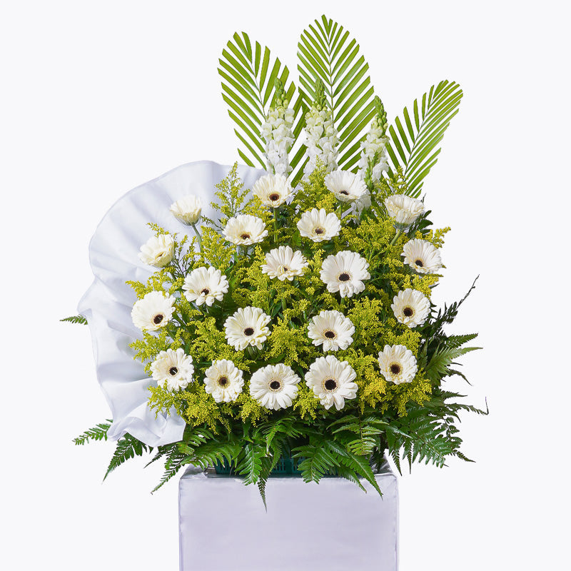Sympathy Flowers | Same-Day Delivery Malaysia