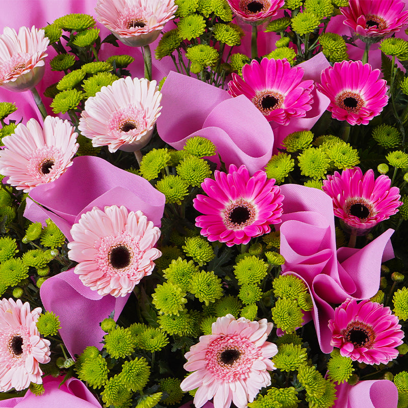 flowers_stand Glowing Fame Opening Flower Stand