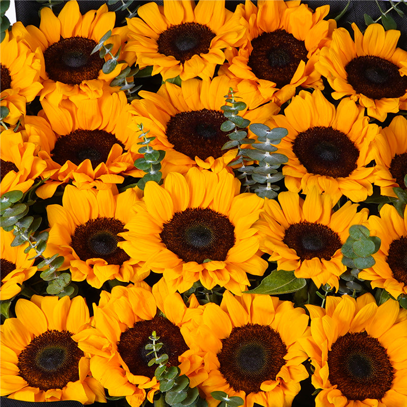 flowers_bouquet_giant Golden Galore