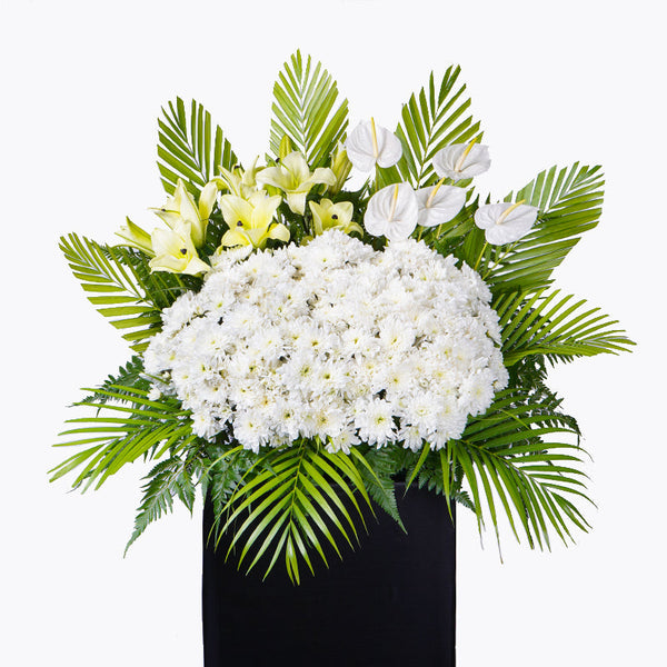 When is the right time to send sympathy flowers or funeral flowers? by –  Adeleraeflorist