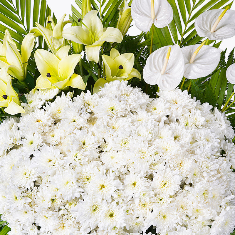 flowers_stand Heartfelt Influence Condolence / Funeral Flowers