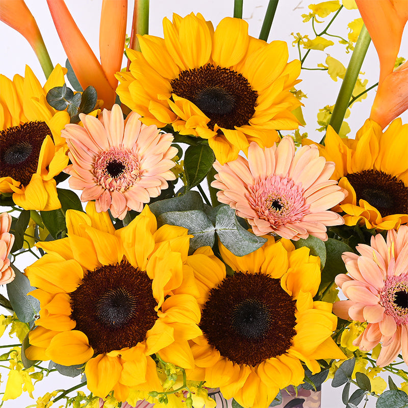 flowers_box_vbox Honey Canary