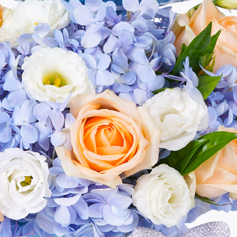 hamper_baby Little Prince Baby Hamper