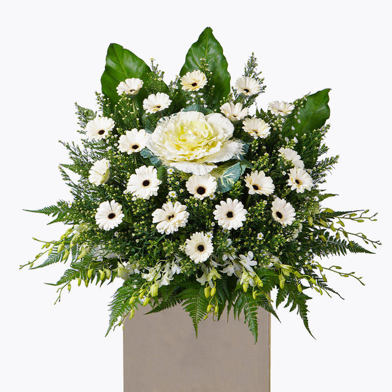 Sympathy Flowers | Same-Day Delivery Malaysia