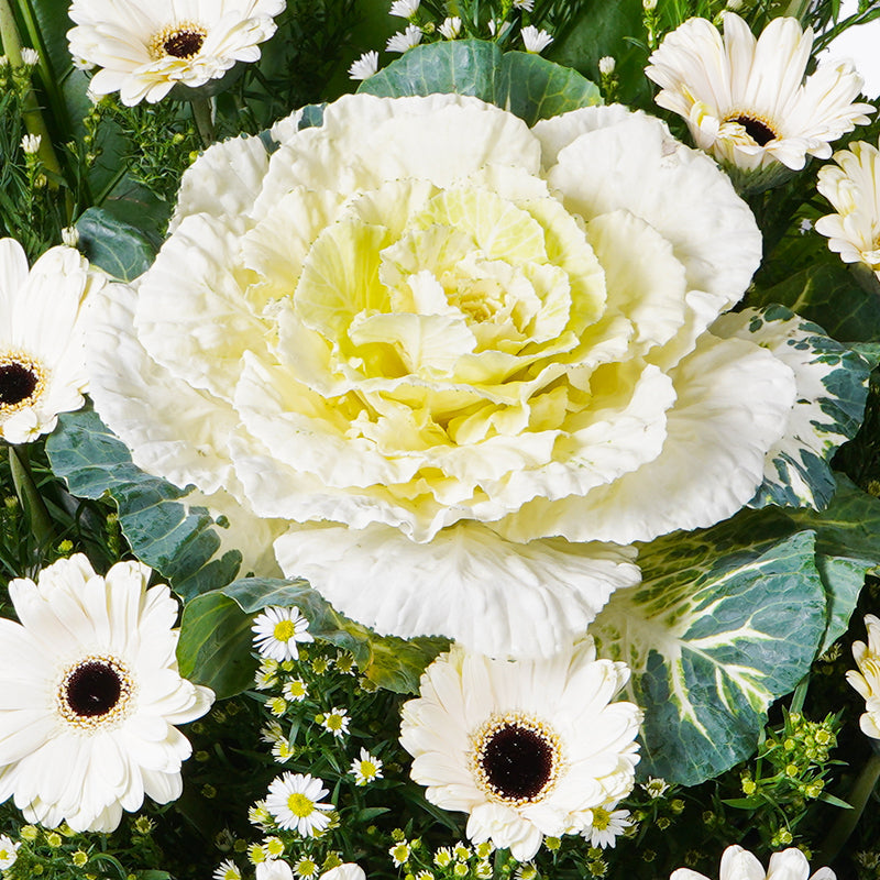 flowers_stand Loving Reminisce Condolence / Funeral Flowers