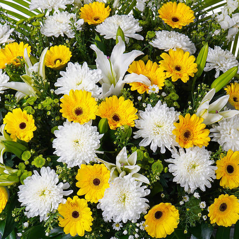flowers_stand Mellow Meadows Condolence / Funeral Flowers