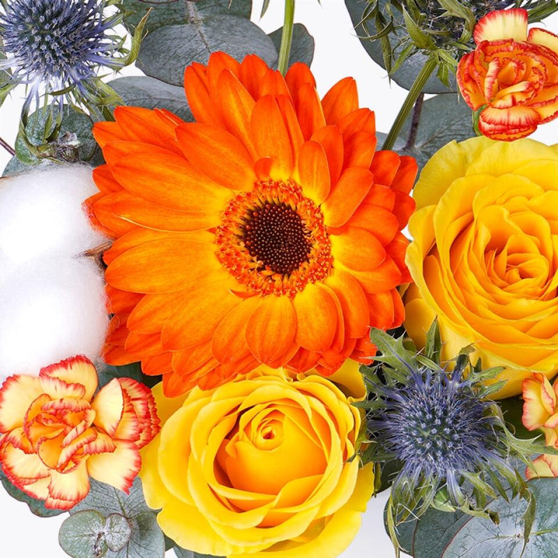 Customizer Mr. Birthday Blooms