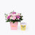 bundle_bouquet_cake Pastel Love + Inside Scoop Ice Cream Bundle