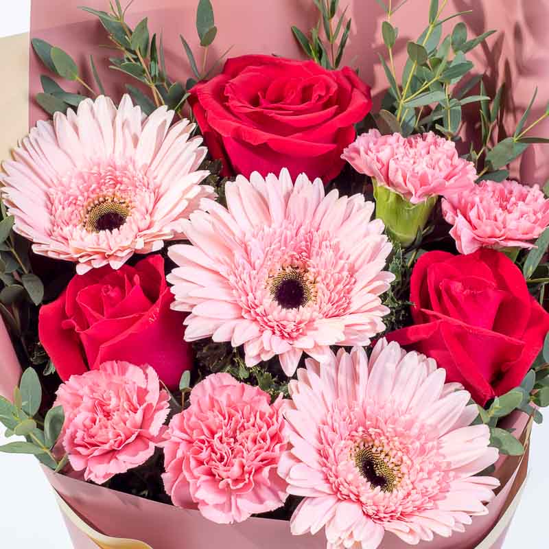 flowers_bouquet Pink Blush