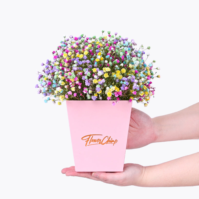 flowers_box_vbox Prismatic