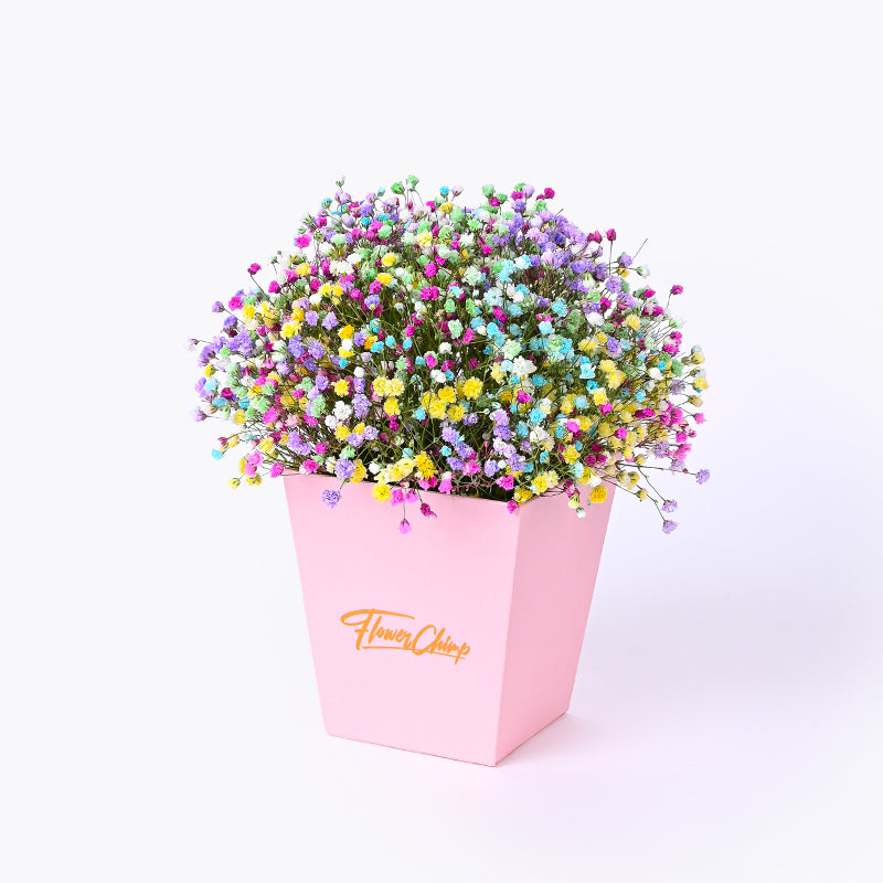 flowers_box_vbox Prismatic