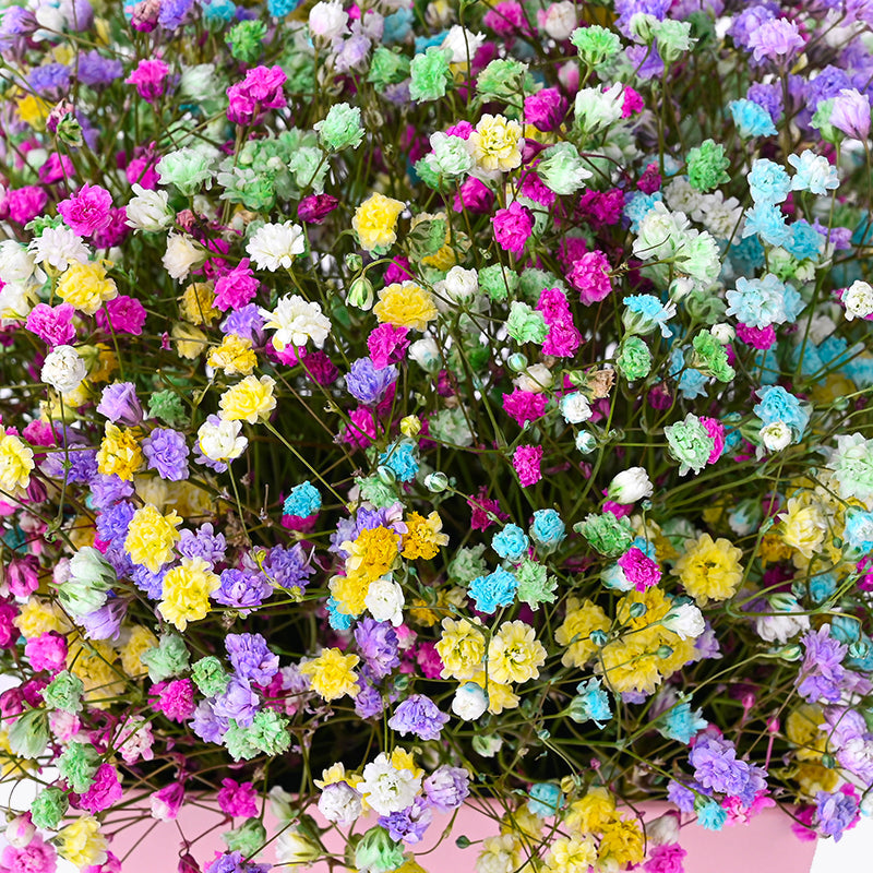 flowers_box_vbox Prismatic