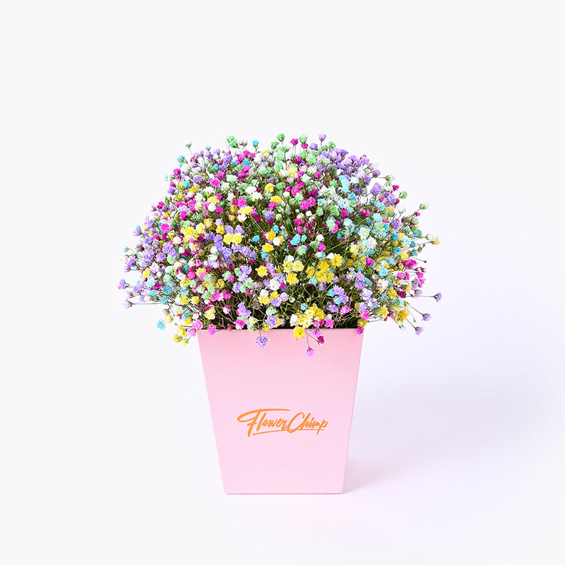 flowers_box_vbox Prismatic