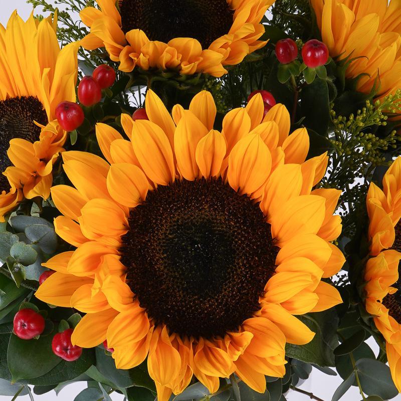 flowers_vase Sunshine