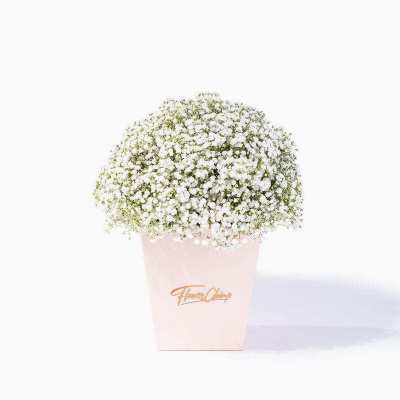 flowers_box_vbox Sweet Baby's Breath