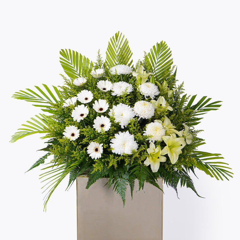 Sympathy Flowers | Same-Day Delivery Malaysia