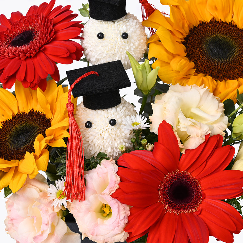 bundles_graduation Your Moment